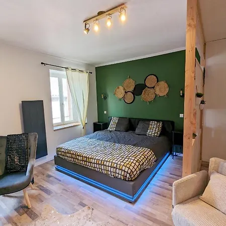 דירה Cosy Hyper Centre בריוד