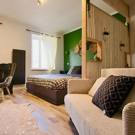 Cosy Hyper Centre דירה בריוד